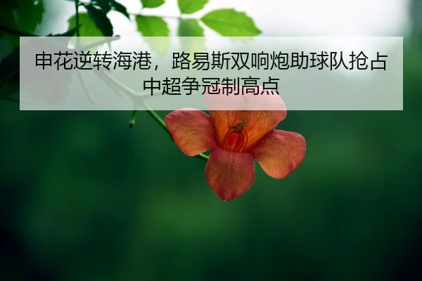 shen-hua-ni-zhuan-hai-gang-lu-yi-si-shuang-xiang-pao-zhu-qiu-dui-qiang-zhan-zhong-chao-zheng-guan-zhi-gao-dian-2-234.jpg