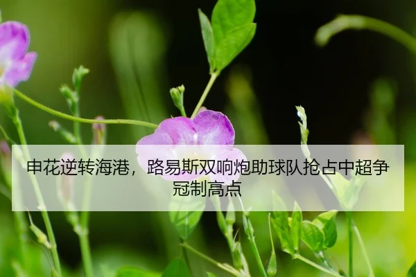 shen-hua-ni-zhuan-hai-gang-lu-yi-si-shuang-xiang-pao-zhu-qiu-dui-qiang-zhan-zhong-chao-zheng-guan-zhi-gao-dian-3-267.jpg