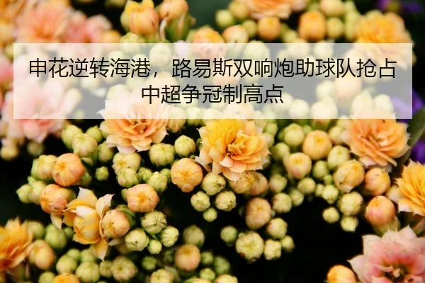 申花逆转海港，路易斯双响炮助球队抢占中超争冠制高点