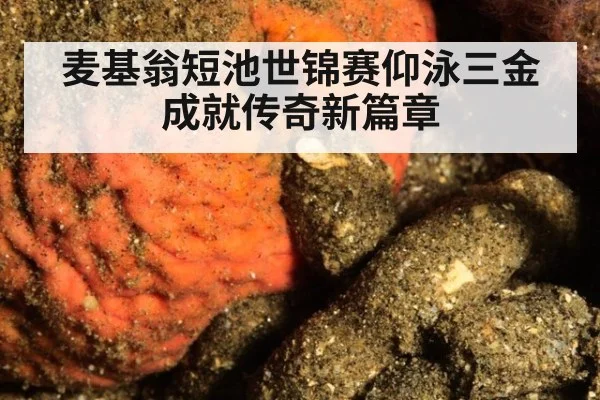麦基翁短池世锦赛仰泳三金成就传奇新篇章
