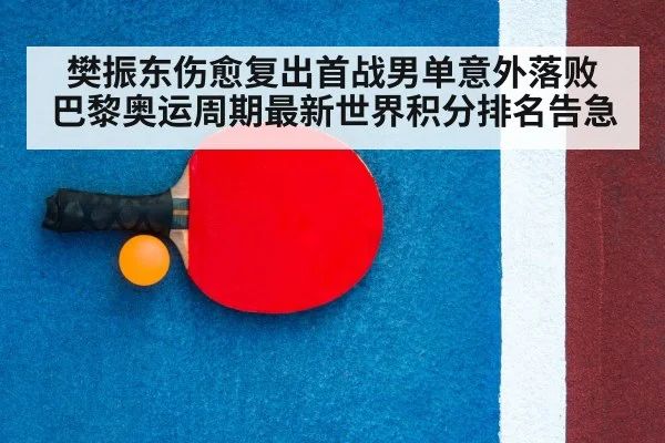 table tennis racket